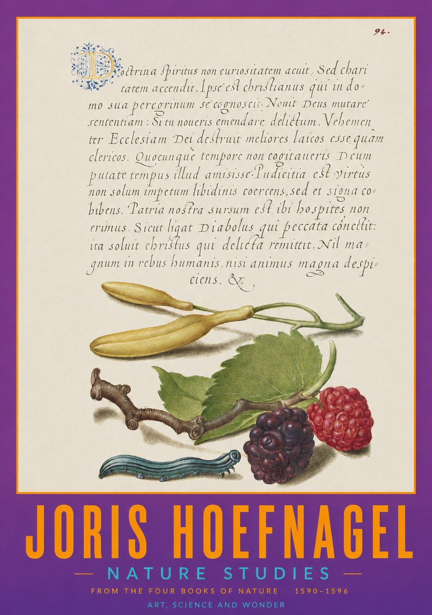 Joris Hoefnagel Nature Studies No2 - Póster
