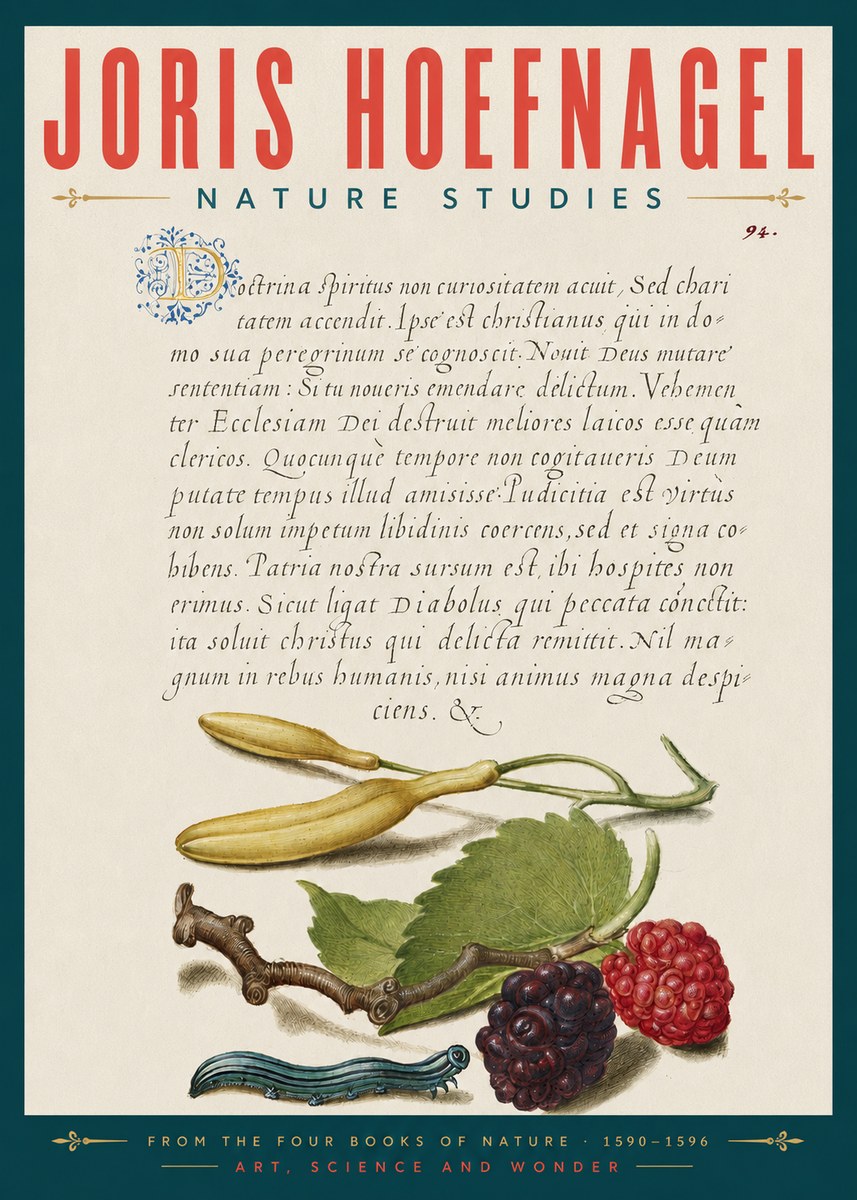 Joris Hoefnagel Nature Studies No5 - Póster