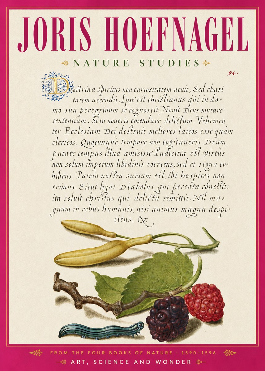 Joris Hoefnagel Nature Studies No6 - Póster