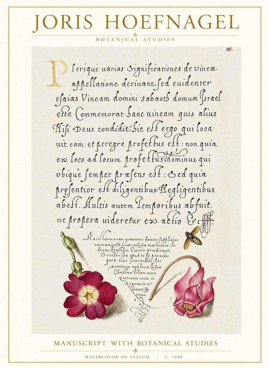 Joris Hoefnagel Manuscript with Botanical Studies No1 - Póster