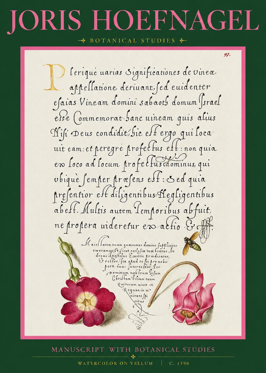 Joris Hoefnagel Manuscript with Botanical Studies No2 - Póster