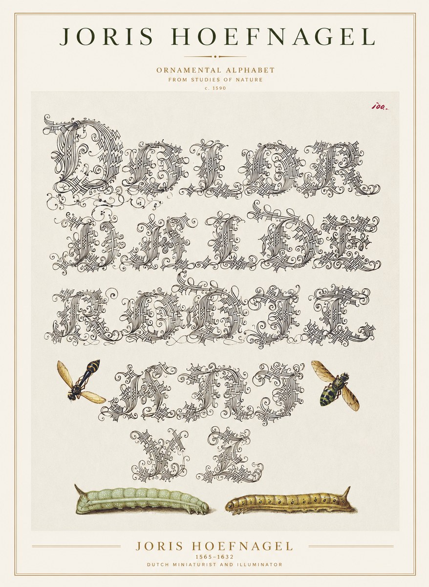 Joris Hoefnagel Ornamental Alphabet from Studies of Nature No1 - Póster
