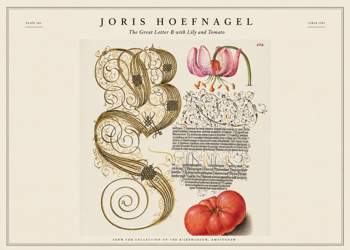 Joris Hoefnagel The Great Letter B with Lily and Tomato No1 - Póster