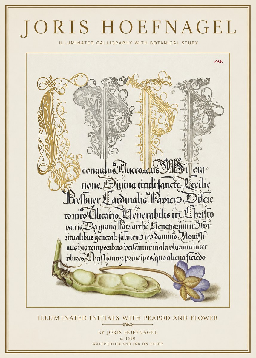 Joris Hoefnagel Illuminated Initials with Peapod and Flower No1 - Póster