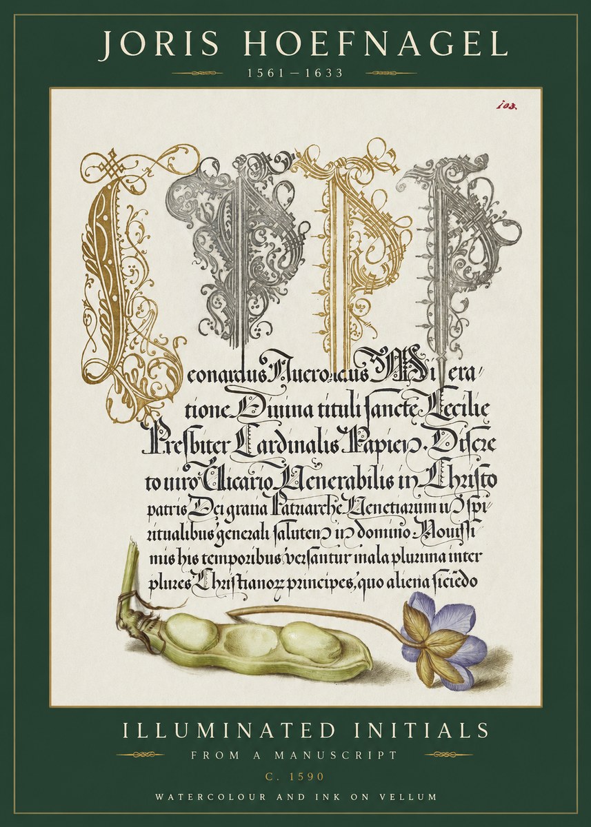 Joris Hoefnagel Illuminated Initials with Peapod and Flower No2 - Póster