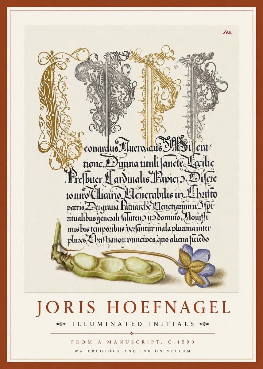 Joris Hoefnagel Illuminated Initials with Peapod and Flower No4 - Póster