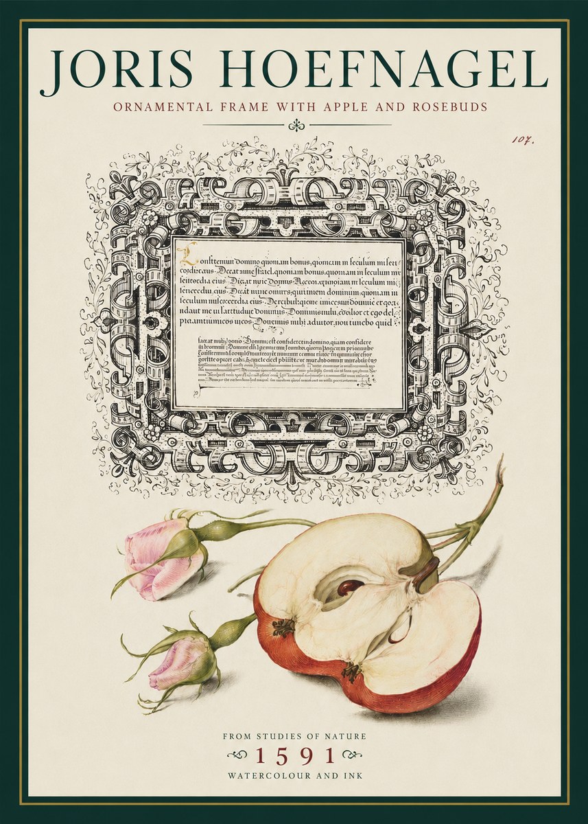 Joris Hoefnagel Illuminated Calligraphy and Botanical Study No5 - Póster