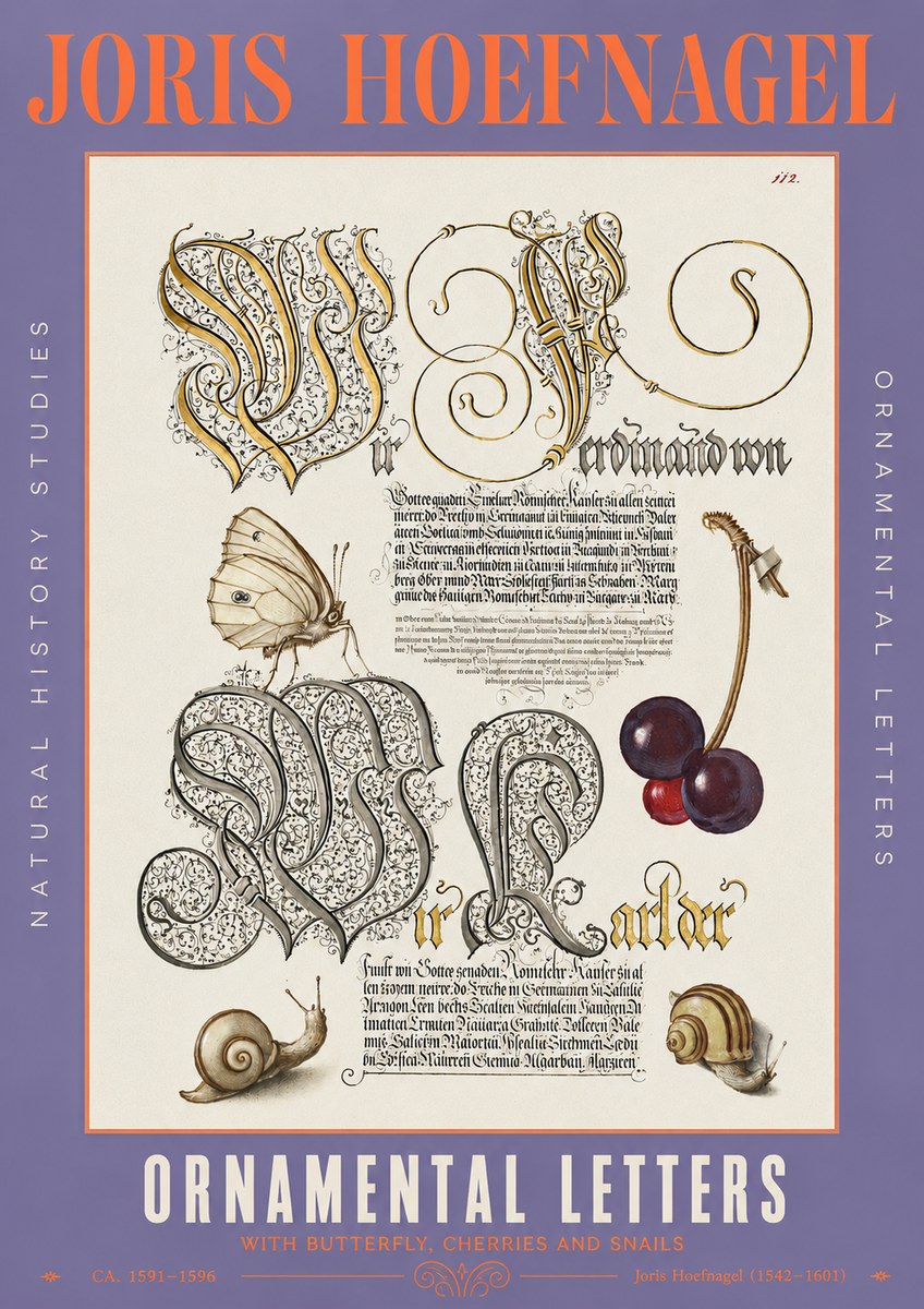 Joris Hoefnagel Ornamental Letters with Butterfly, Cherries and Snails No3 - Póster