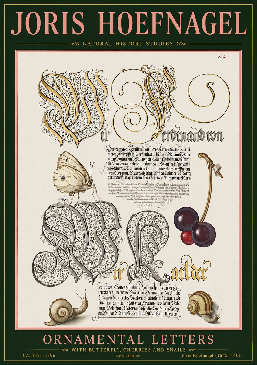 Joris Hoefnagel Ornamental Letters with Butterfly, Cherries and Snails No5 - Póster