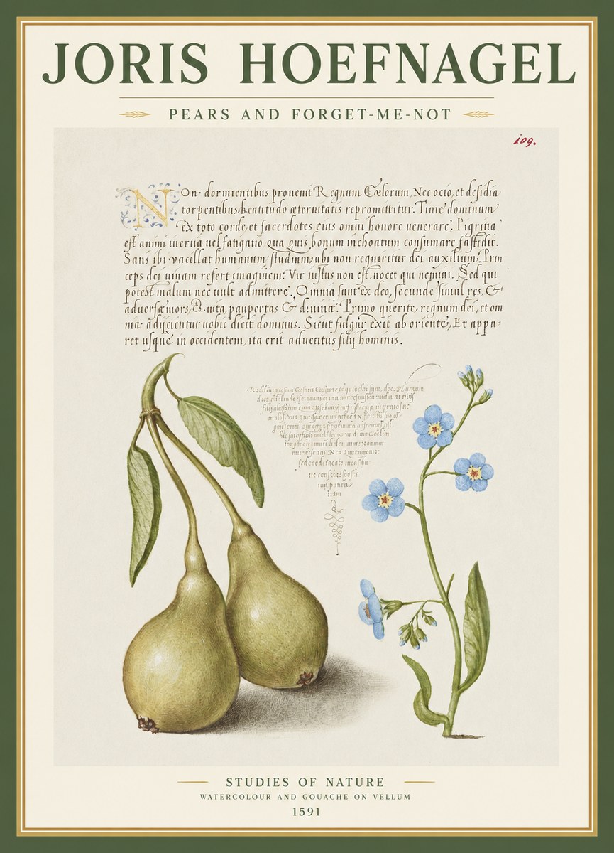Joris Hoefnagel Pears and Forget-me-not No1 - Póster