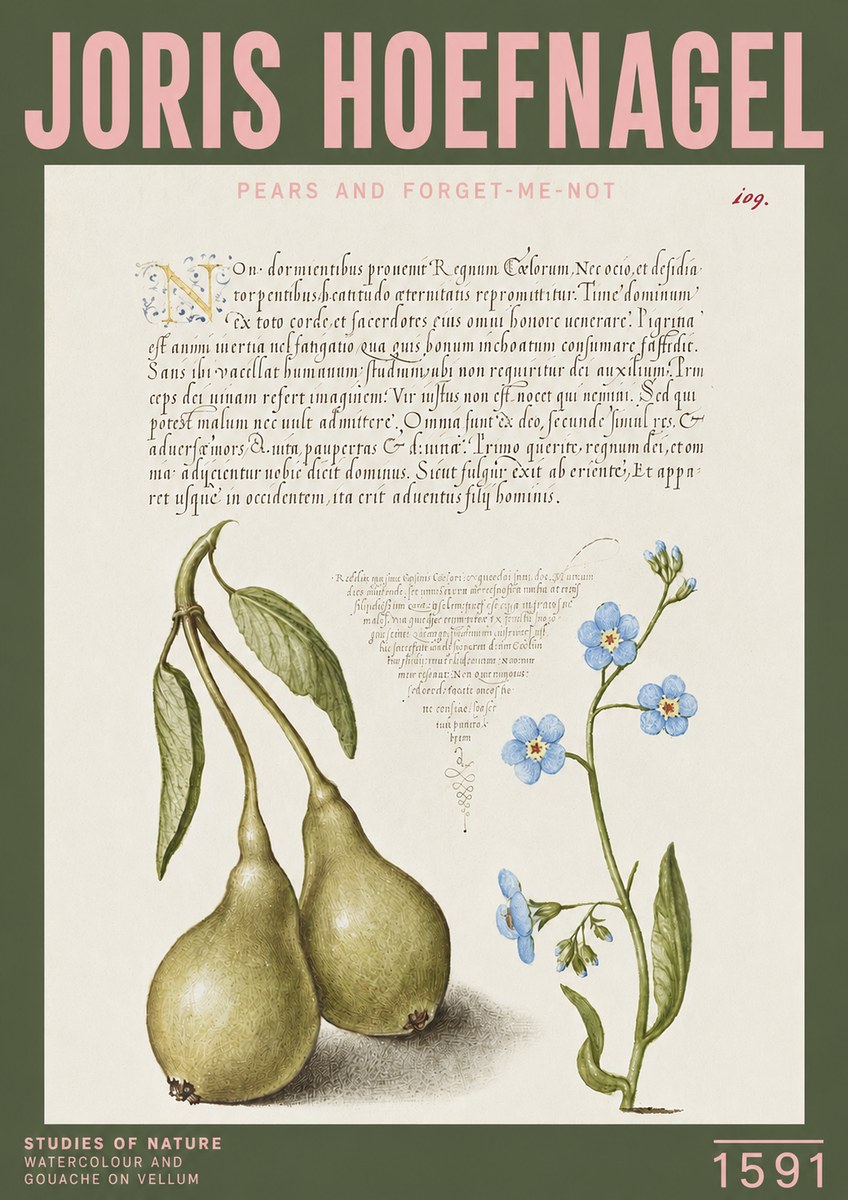 Joris Hoefnagel Pears and Forget-me-not No3 - Póster