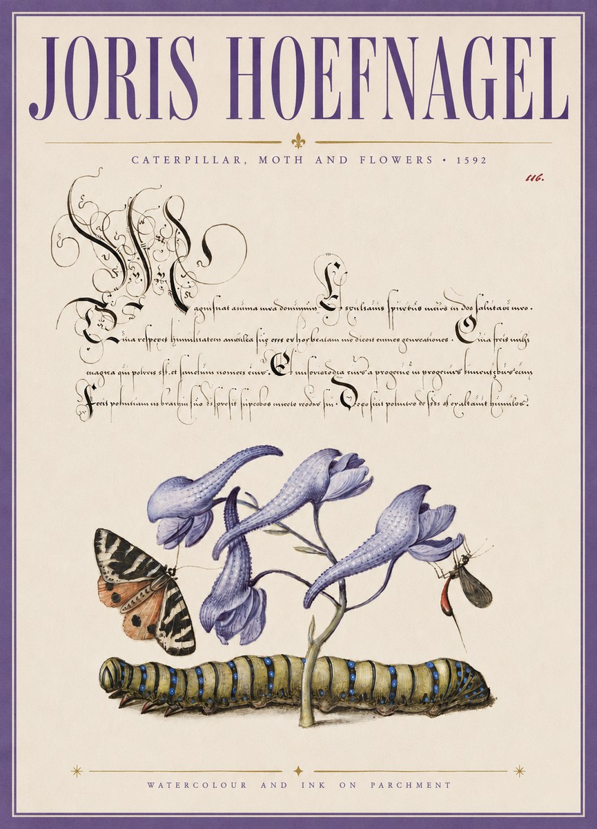 Joris Hoefnagel Caterpillar, Moth and Flowers No3 - Póster