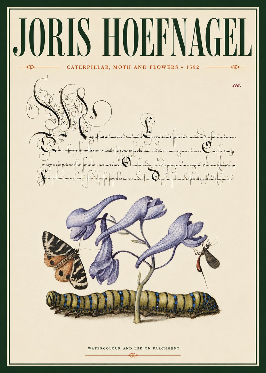 Joris Hoefnagel Caterpillar, Moth and Flowers No4 - Póster