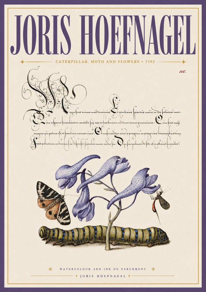Joris Hoefnagel Caterpillar, Moth and Flowers No6 - Póster