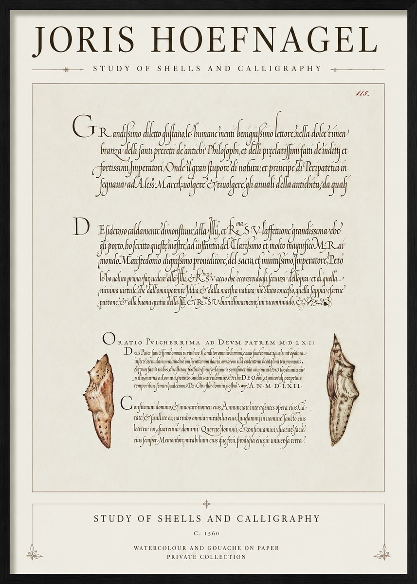 Joris Hoefnagel Study of Shells and Calligraphy No1 - Póster