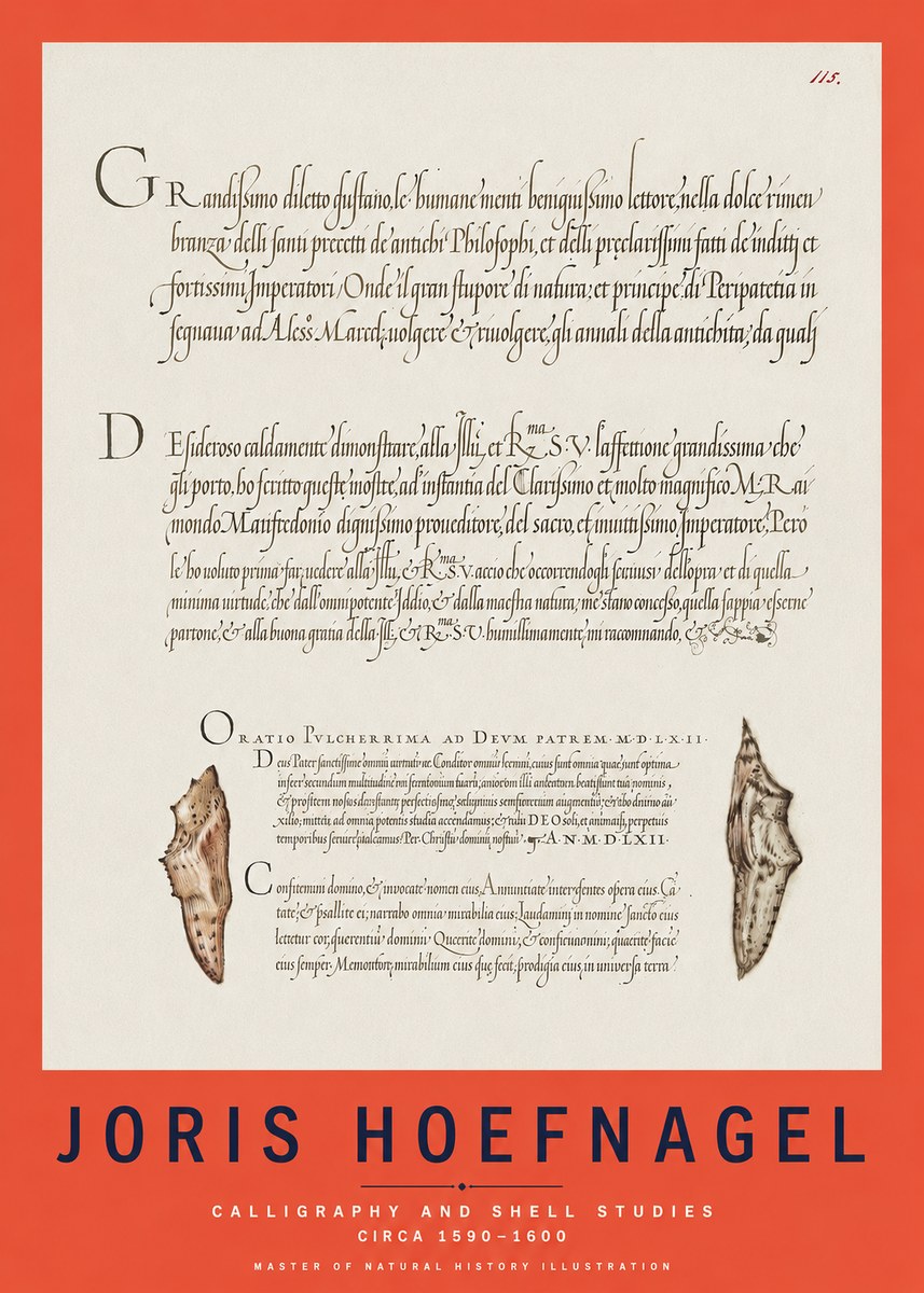 Joris Hoefnagel Study of Shells and Calligraphy No3 - Póster