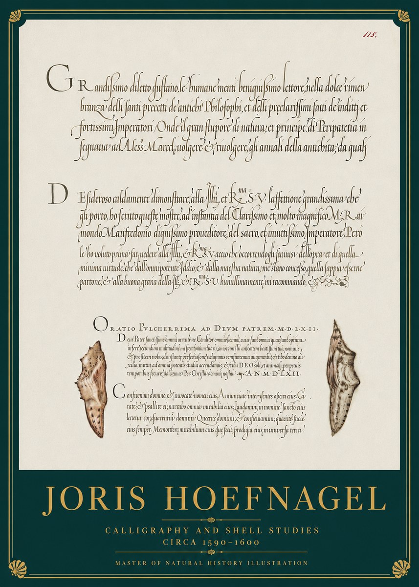 Joris Hoefnagel Study of Shells and Calligraphy No4 - Póster