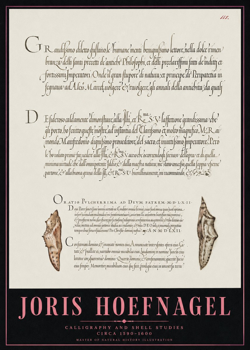 Joris Hoefnagel Study of Shells and Calligraphy No5 - Póster