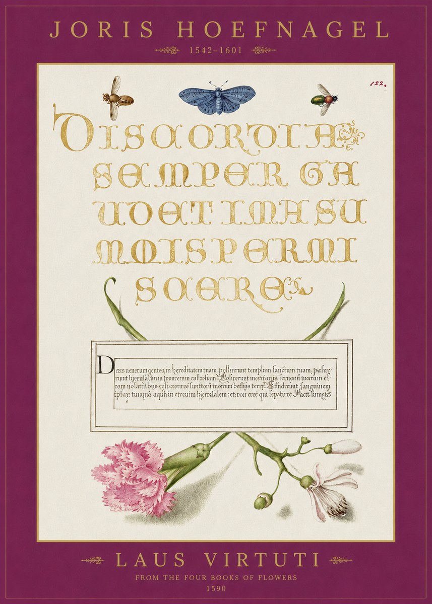 Joris Hoefnagel Laus Virtuti No2 - Póster