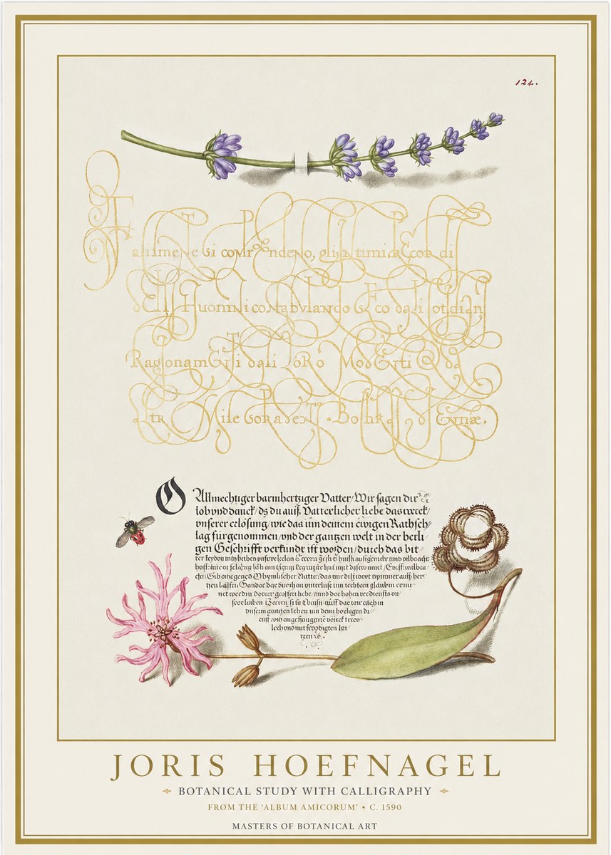 Joris Hoefnagel Botanical Study with Calligraphy IV No1 - Póster