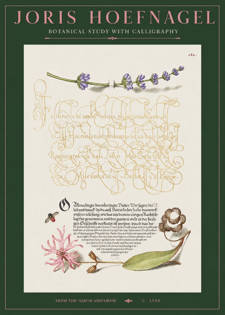 Joris Hoefnagel Botanical Study with Calligraphy IV No2 - Póster
