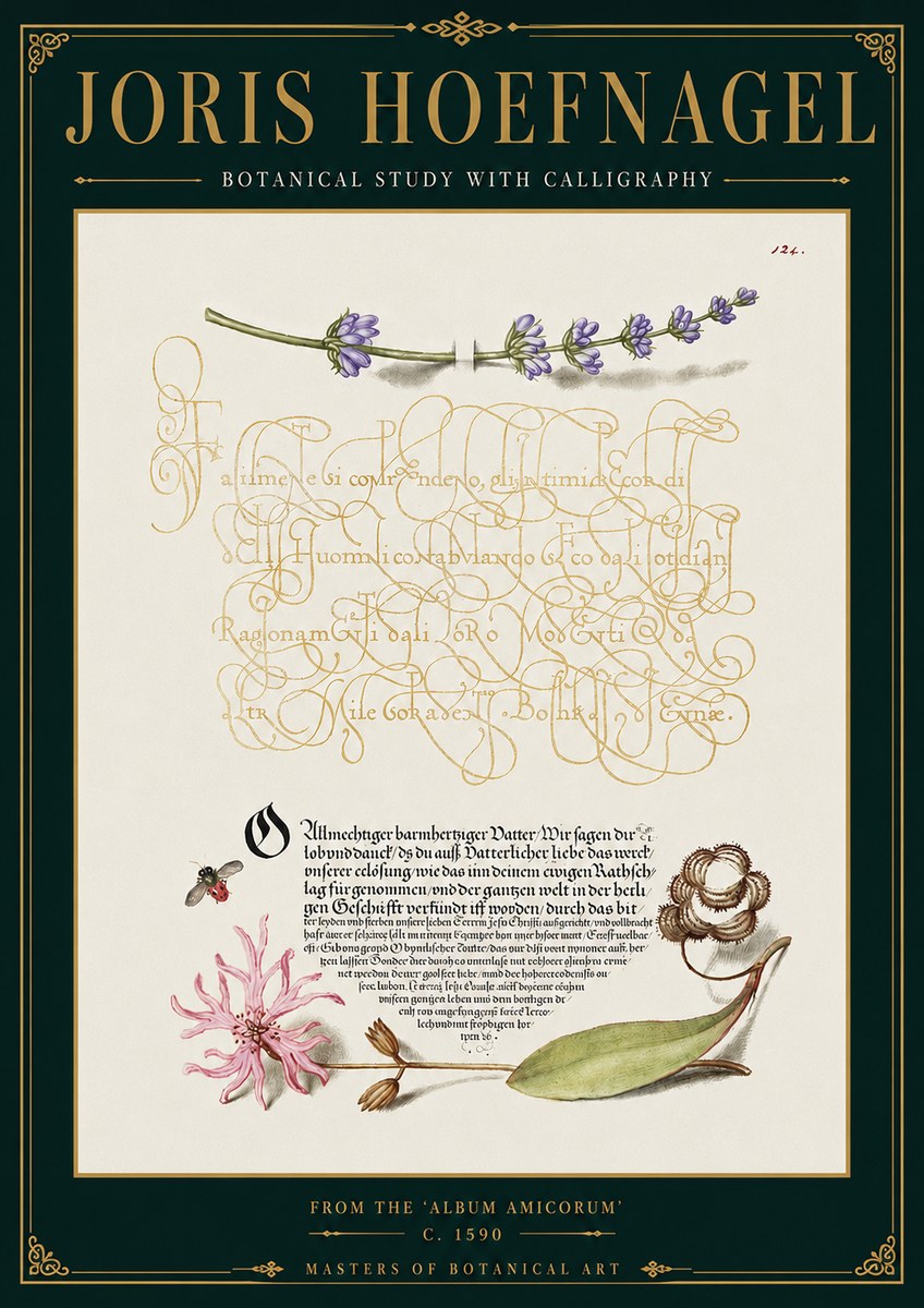 Joris Hoefnagel Botanical Study with Calligraphy IV No4 - Póster