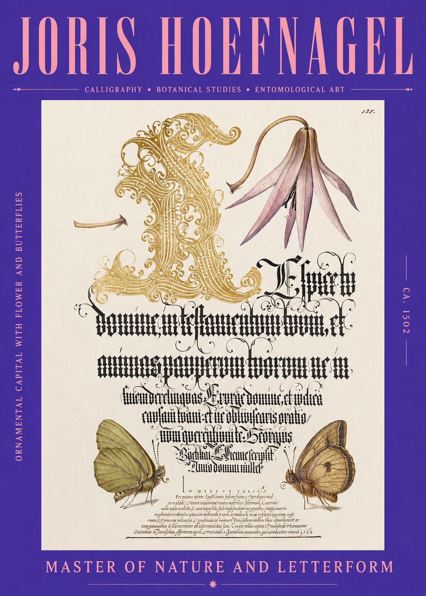 Joris Hoefnagel Ornamental Capital with Flower and Butterflies No2 - Póster