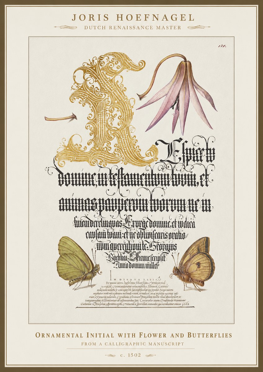 Joris Hoefnagel Ornamental Capital with Flower and Butterflies No5 - Póster