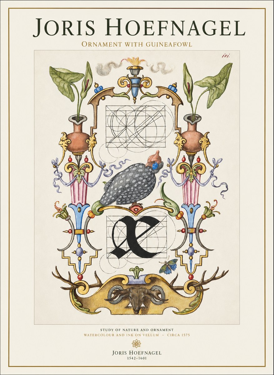 Joris Hoefnagel Ornament with Guineafowl No1 - Póster