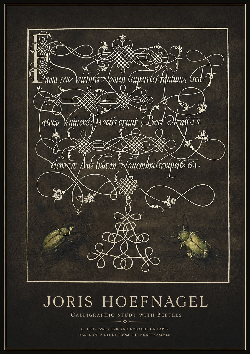Joris Hoefnagel Calligraphic Study with Beetles No1 - Póster