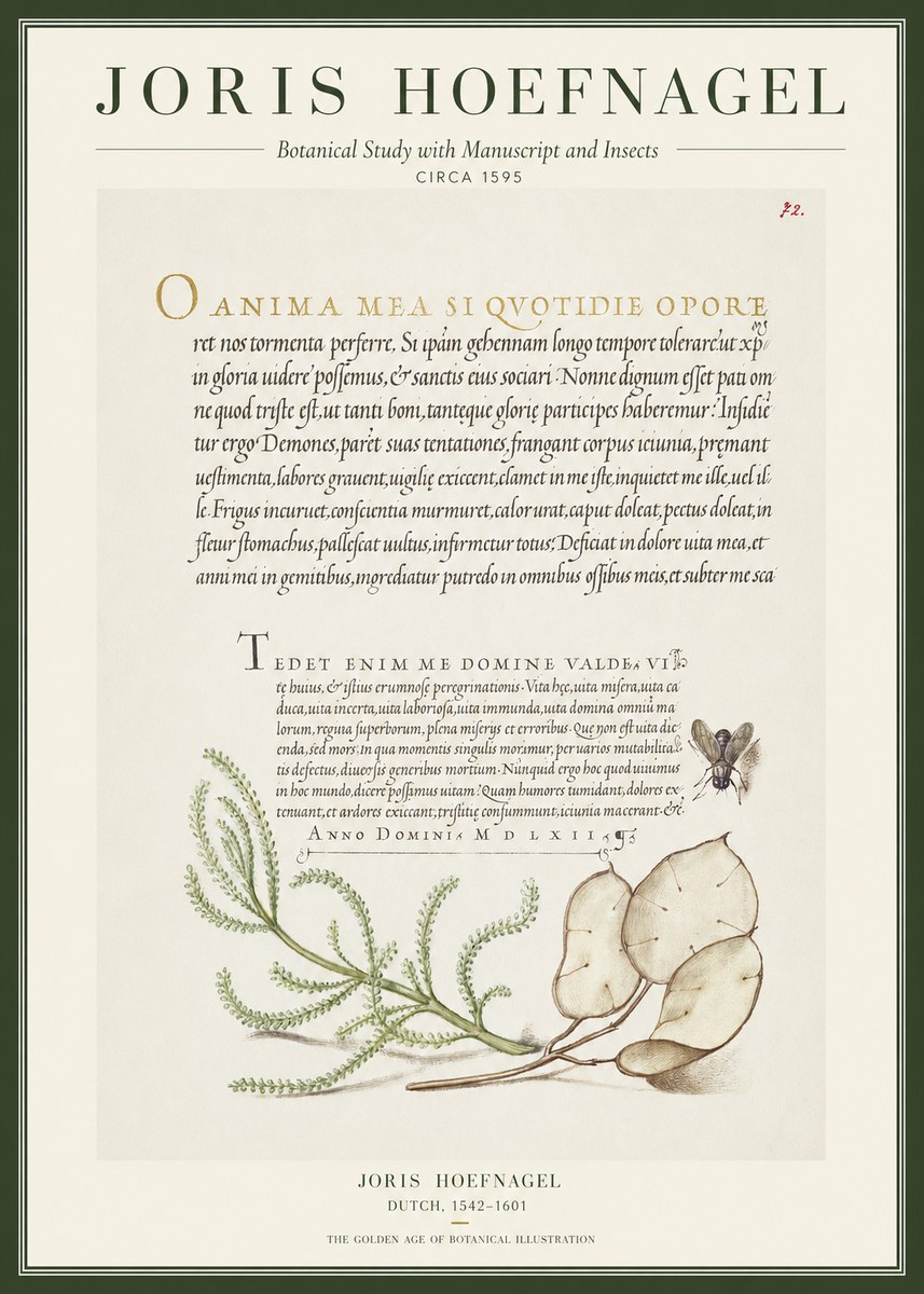 Joris Hoefnagel Botanical Study with Manuscript and Insects No1 - Póster