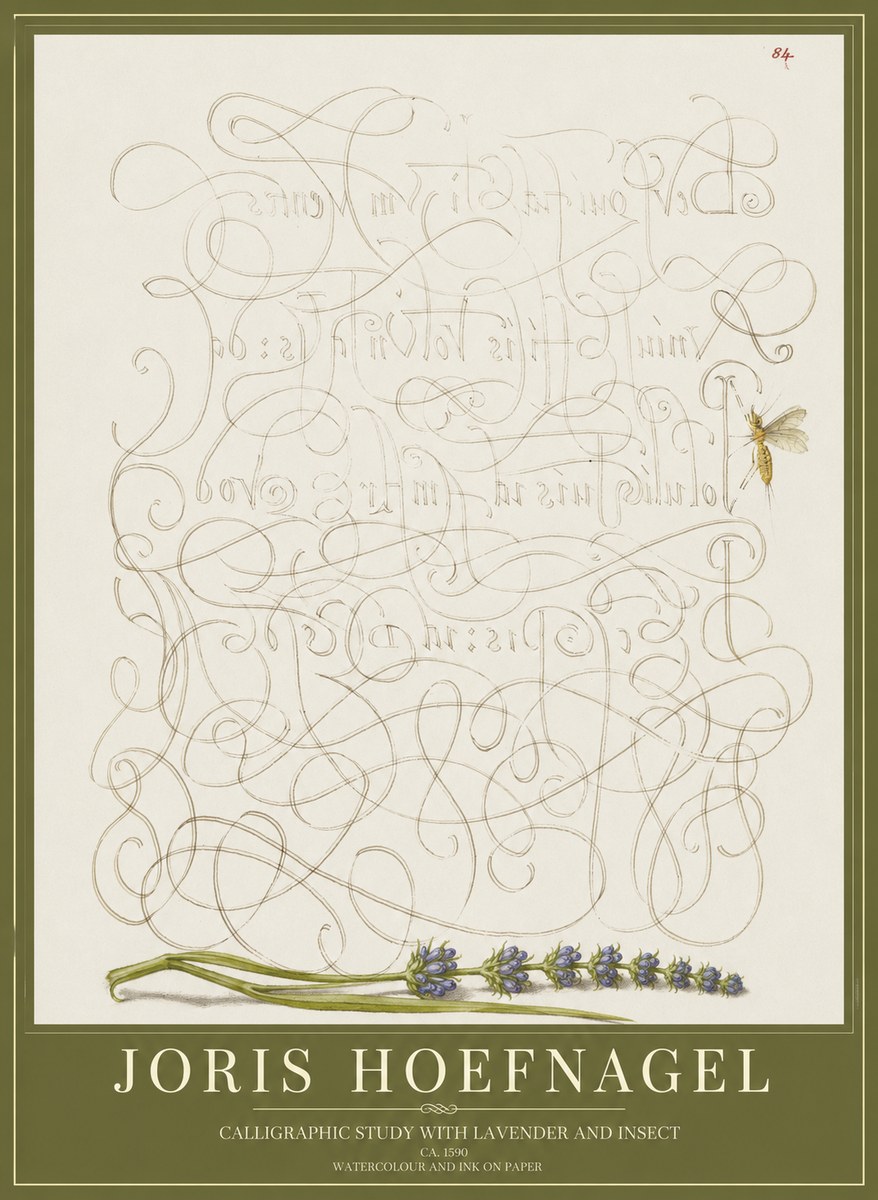 Joris Hoefnagel Calligraphic Study with Insect and Flower No5 - Póster