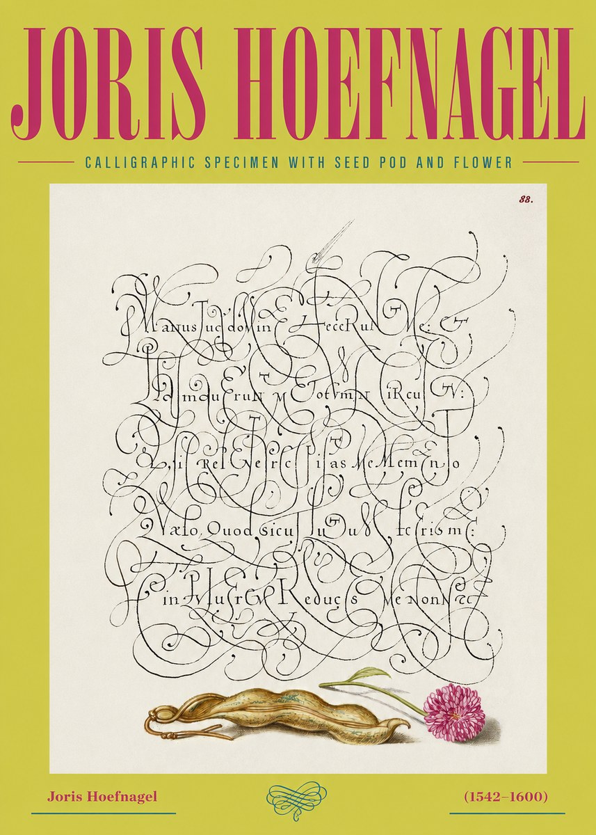 Joris Hoefnagel Calligraphic Specimen with Seed Pod and Flower No2 - Póster