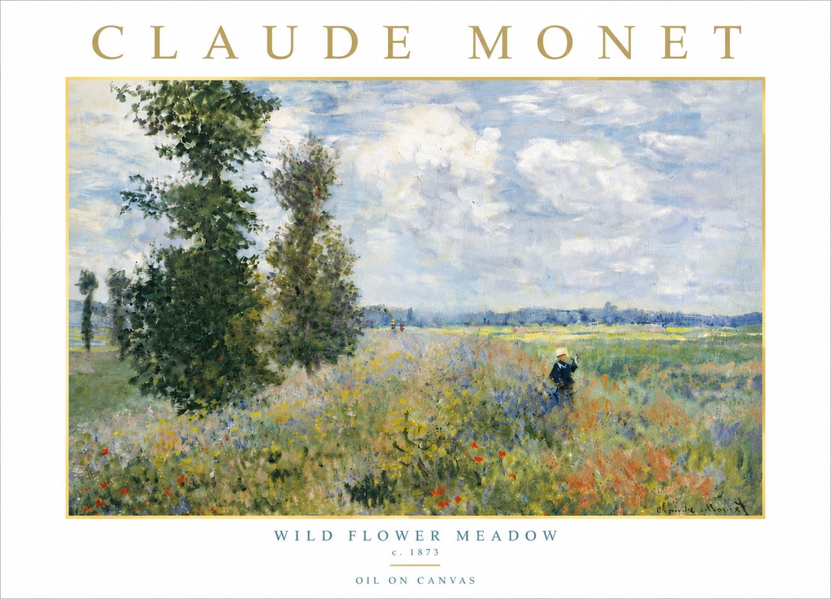 Monet Wild Flower Meadow No6 - Póster