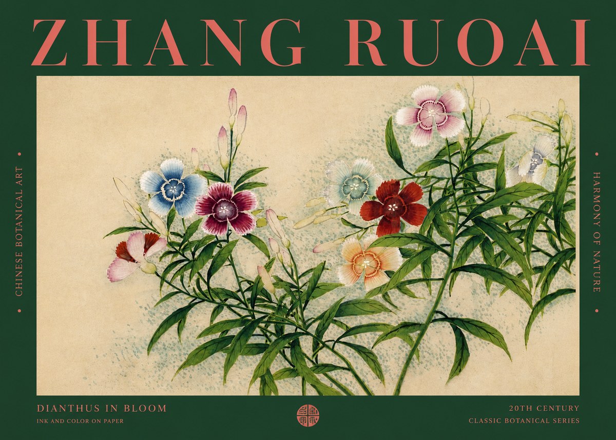 Zhang Ruoai Dianthus in Bloom No2 - Póster