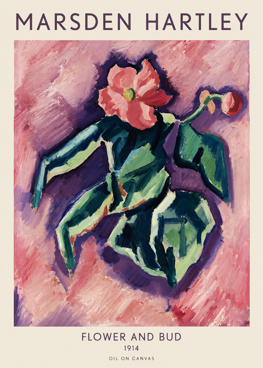 Marsden Hartley Flower and Bud No1 - Póster