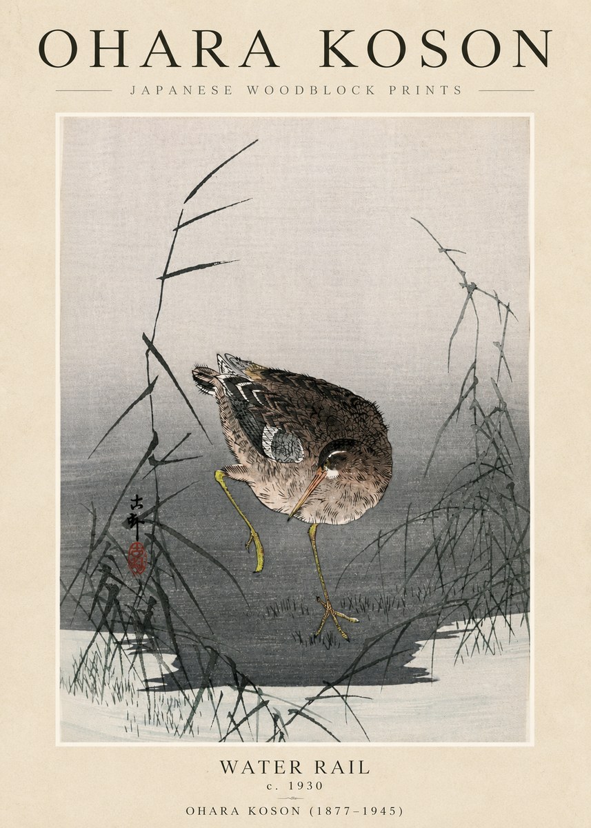 Ohara Koson Water Rail No3 - Póster