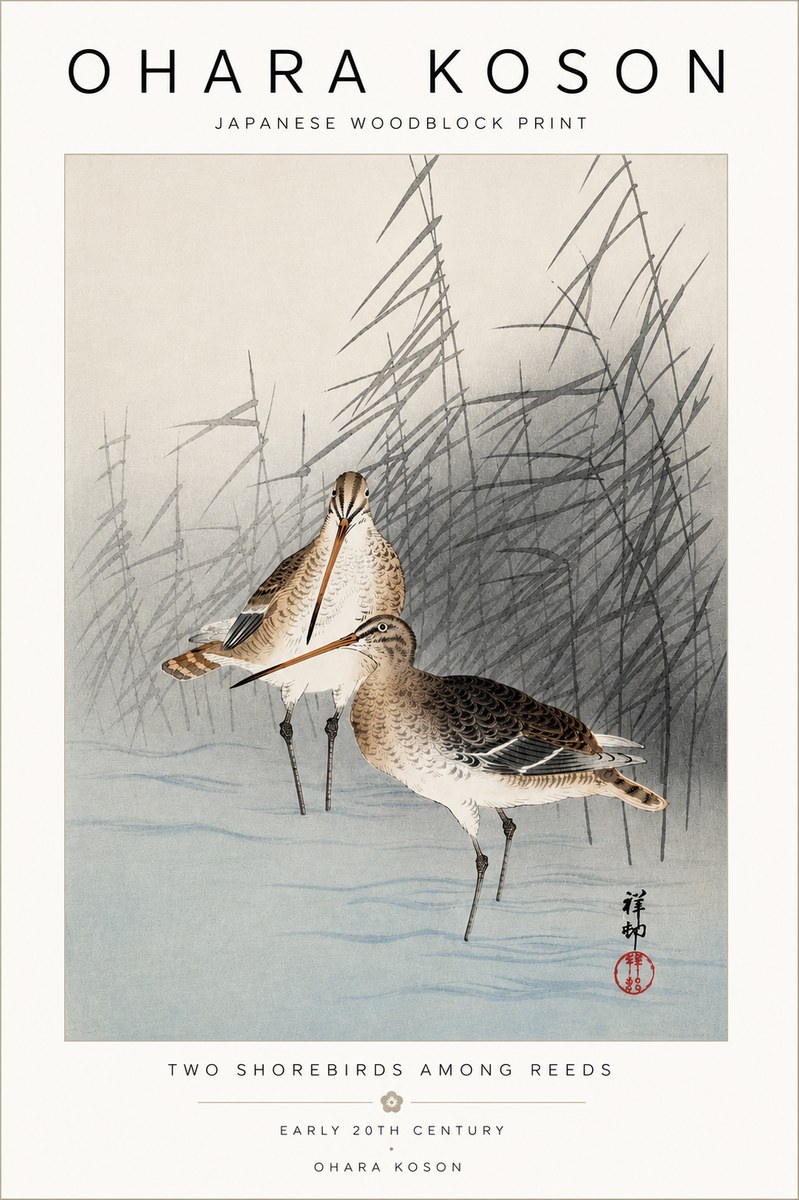 Ohara Koson Snipe in the Reeds No5 - Póster