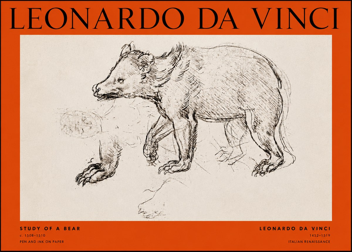 Leonardo da Vinci Study of a Bear No2 - Póster