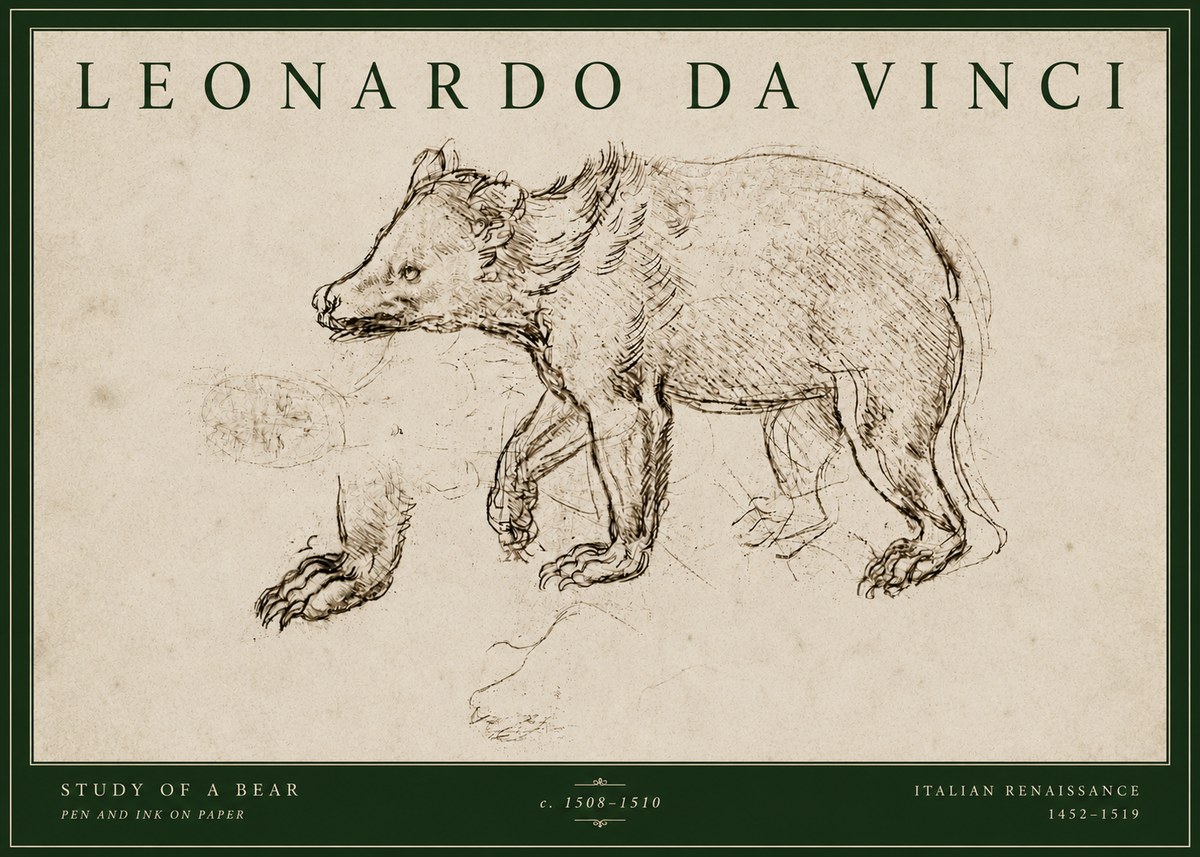 Leonardo da Vinci Study of a Bear No4 - Póster