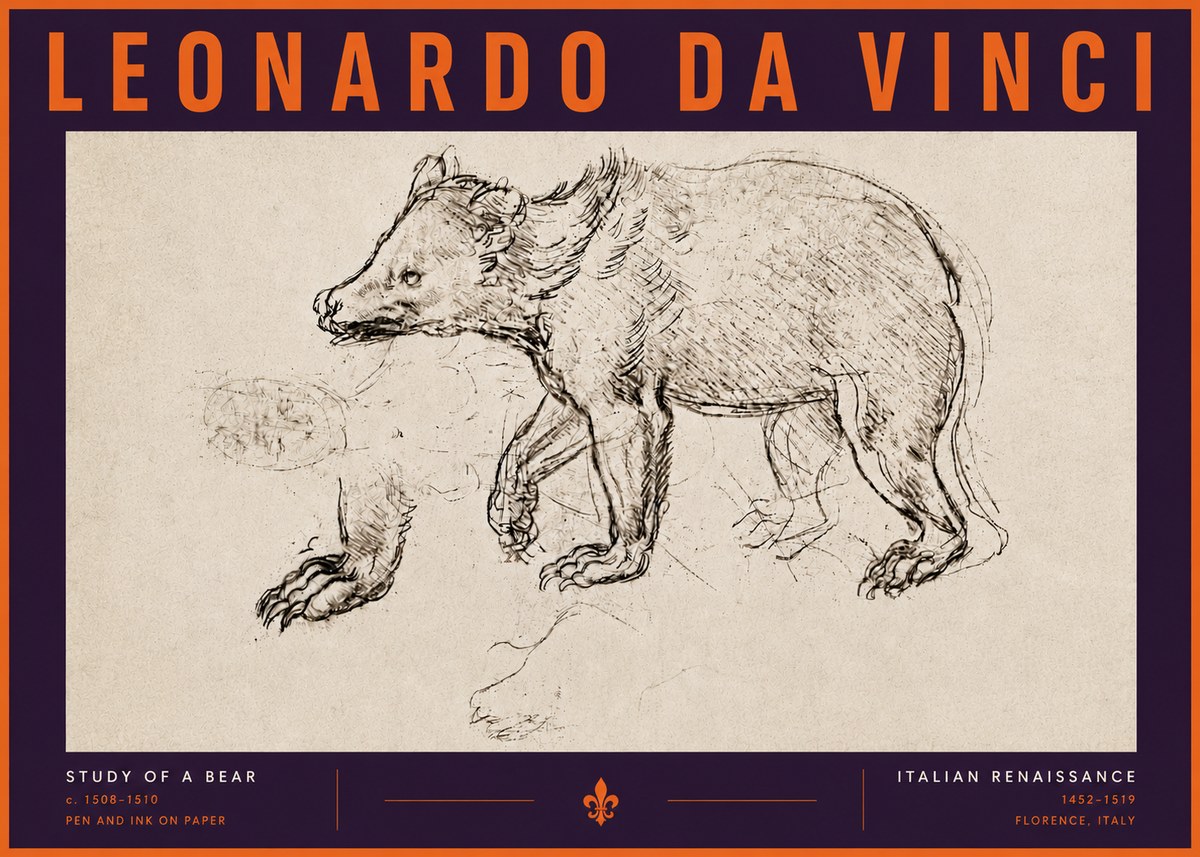 Leonardo da Vinci Study of a Bear No6 - Póster