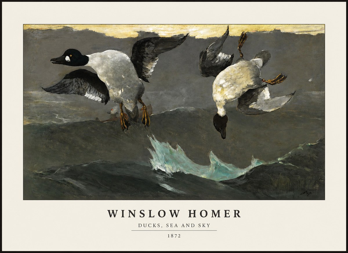 Winslow Homer Ducks, Sea and Sky No1 - Póster