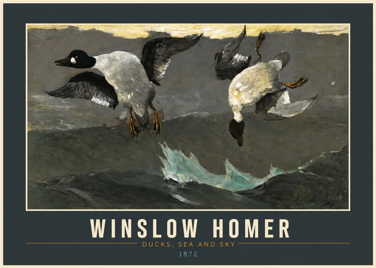 Winslow Homer Ducks, Sea and Sky No2 - Póster
