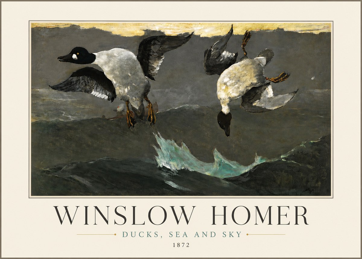 Winslow Homer Ducks, Sea and Sky No3 - Póster