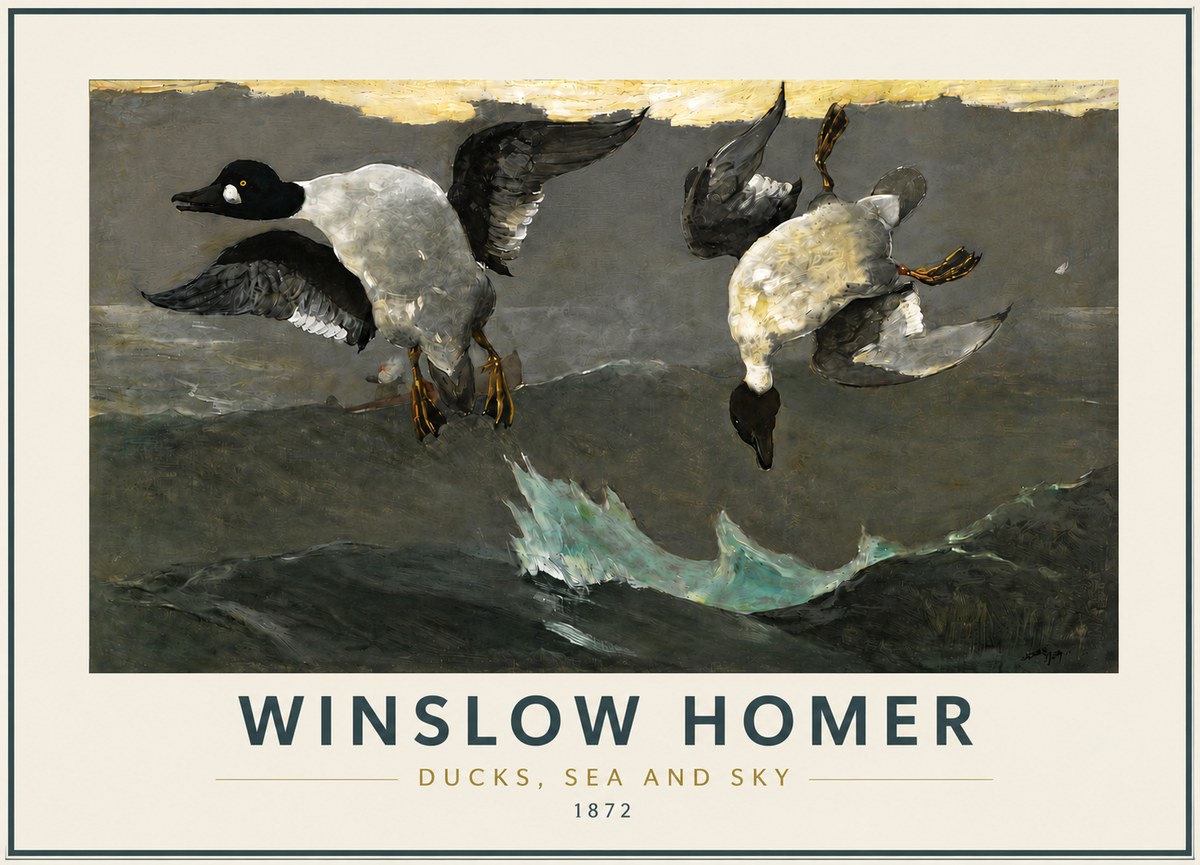 Winslow Homer Ducks, Sea and Sky No5 - Póster