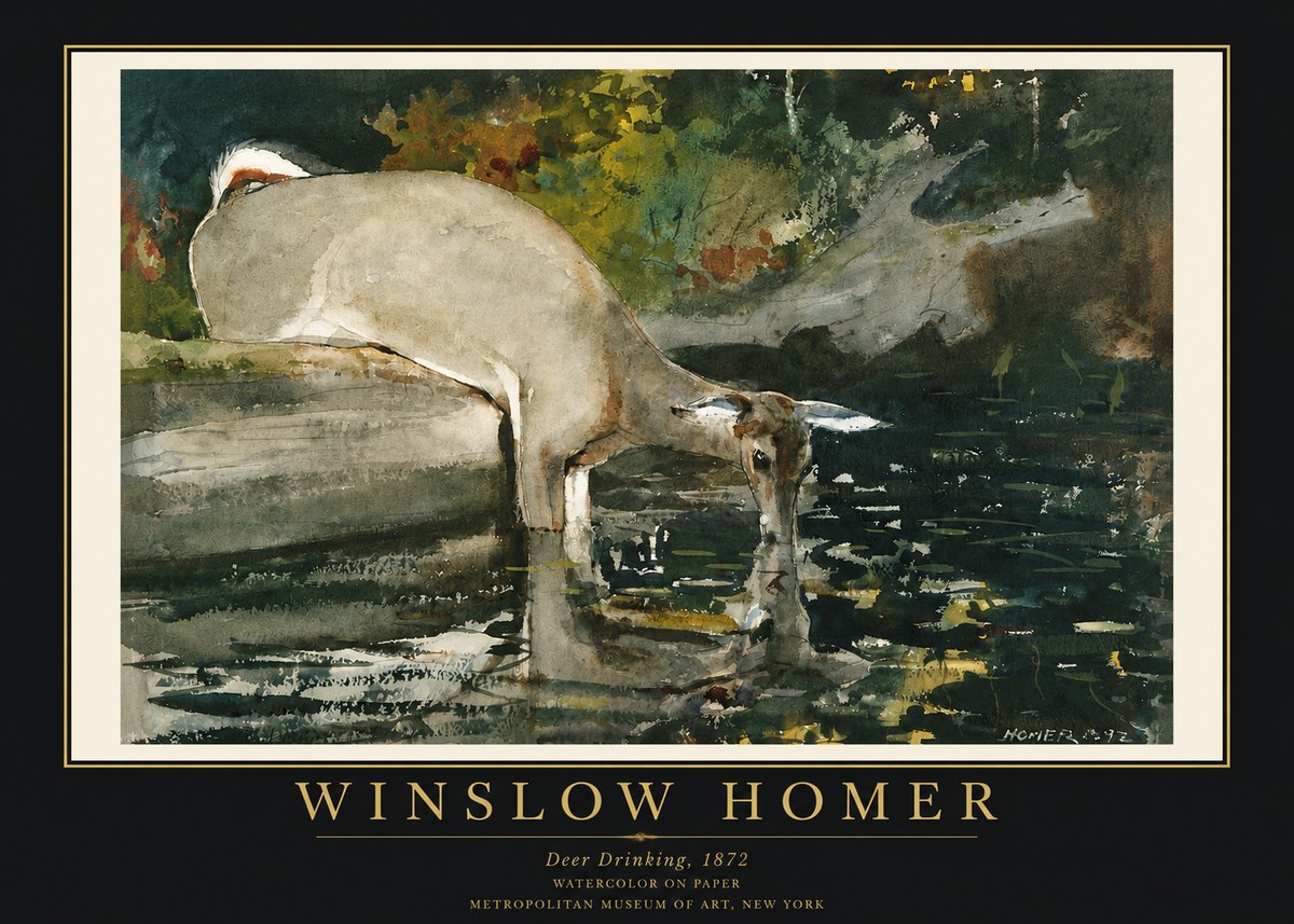Winslow Homer Deer Drinking No3 - Póster