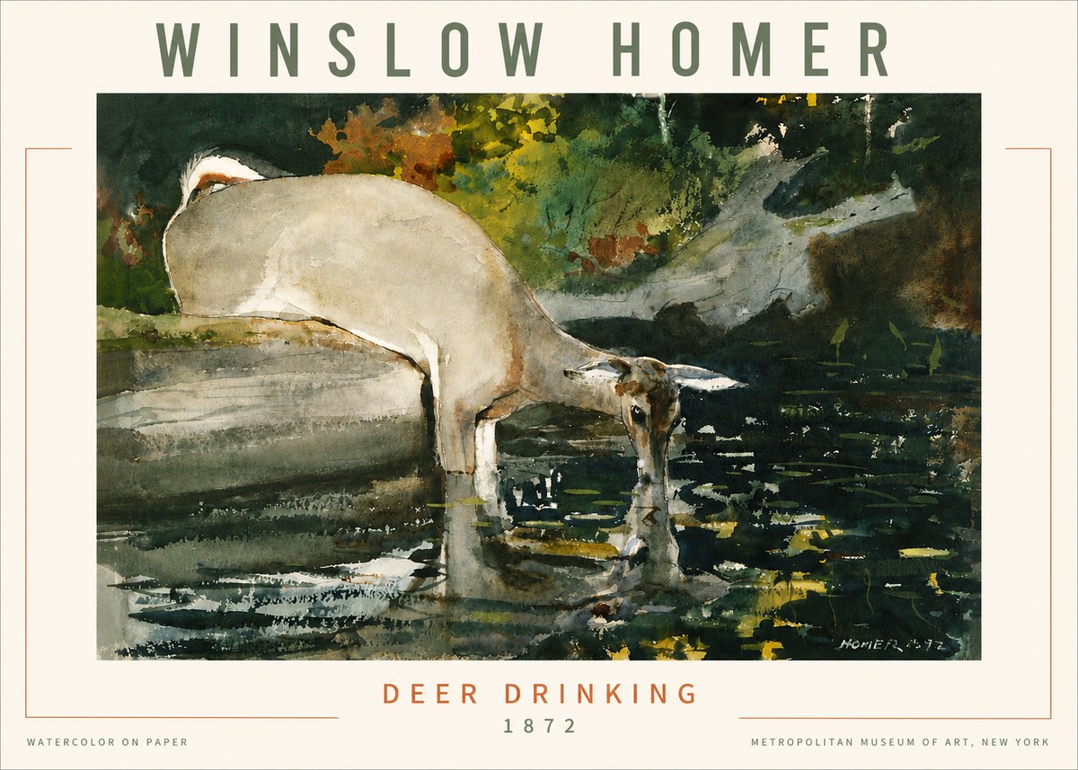 Winslow Homer Deer Drinking No4 - Póster