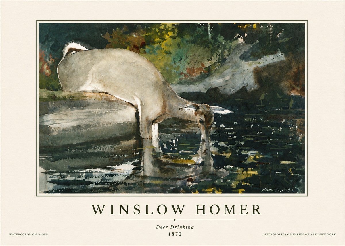 Winslow Homer Deer Drinking No5 - Póster