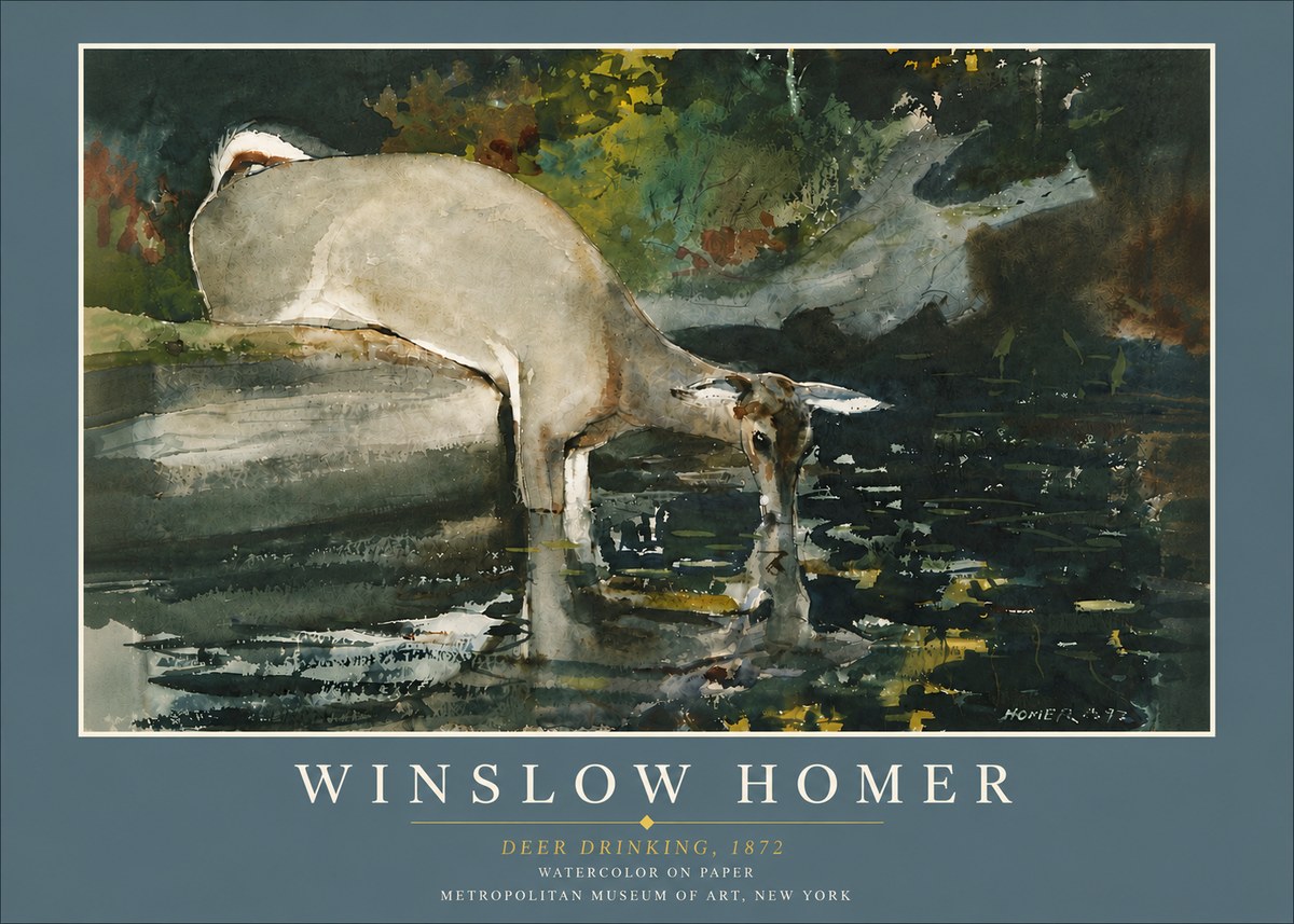 Winslow Homer Deer Drinking No6 - Póster