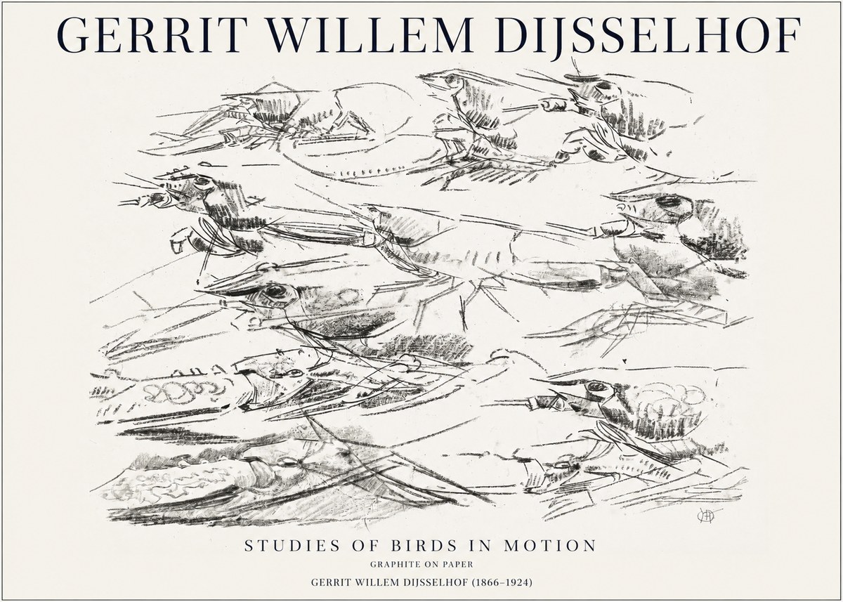 Gerrit Willem Dijsselhof Studies of Birds in Motion No1 - Póster